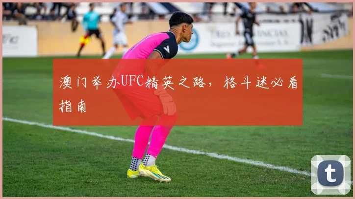 澳门举办UFC精英之路，格斗迷必看指南