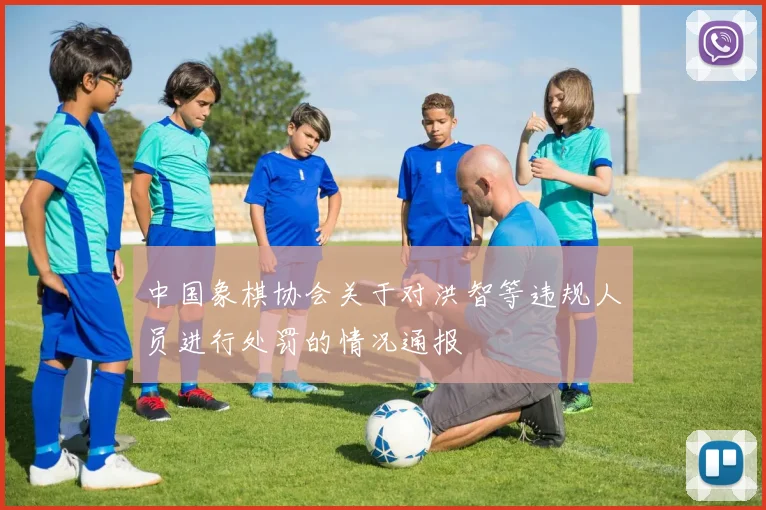 中国象棋协会关于对洪智等违规人员进行处罚的情况通报