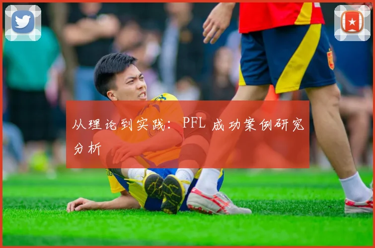 从理论到实践:PFL 成功案例研究分析