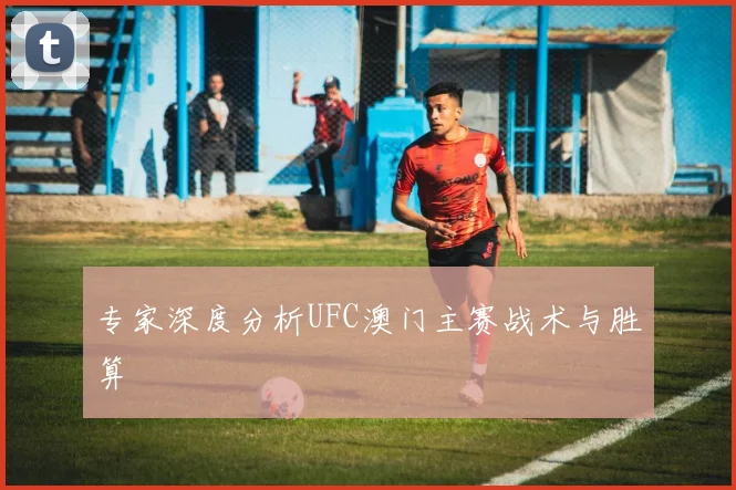 专家深度分析UFC澳门主赛战术与胜算