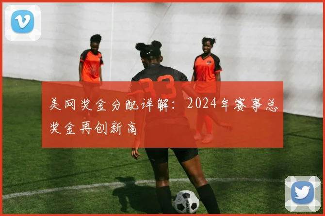 美网奖金分配详解:2024年赛事总奖金再创新高