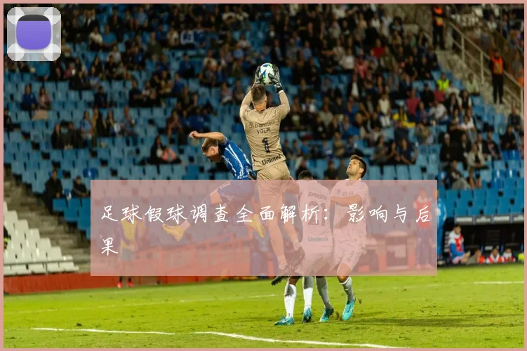 足球假球调查全面解析:影响与后果
