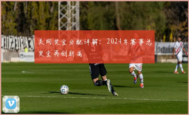 美网奖金分配详解:2024年赛事总奖金再创新高