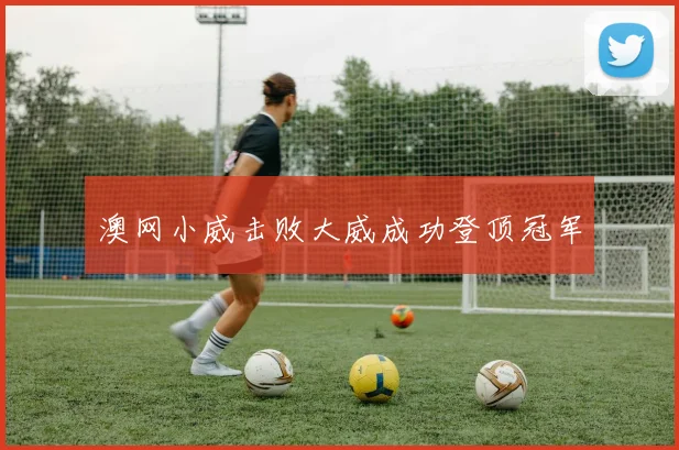 澳网小威击败大威成功登顶冠军
