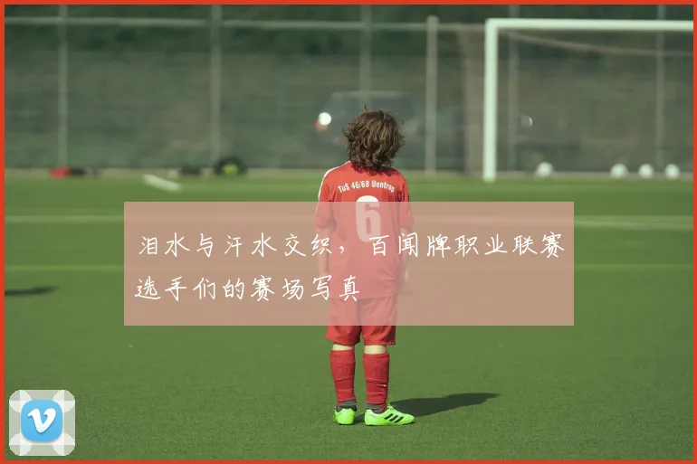 泪水与汗水交织，百闻牌职业联赛选手们的赛场写真