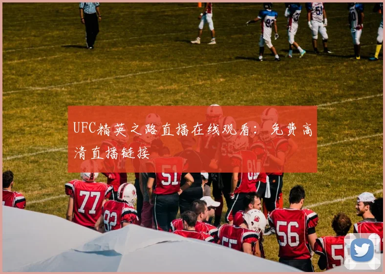 UFC精英之路直播在线观看:免费高清直播链接