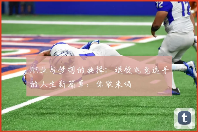 职业与梦想的抉择:退役电竞选手的人生新篇章,你敢来吗